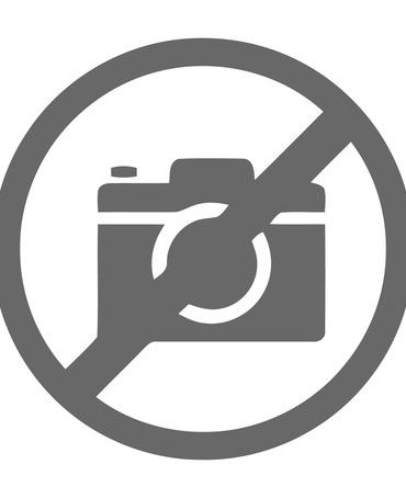 Палантин Женский SN40-FL.ABSTRACT/D